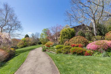 Blue Mountain Botanik Bahçesi, Avustralya