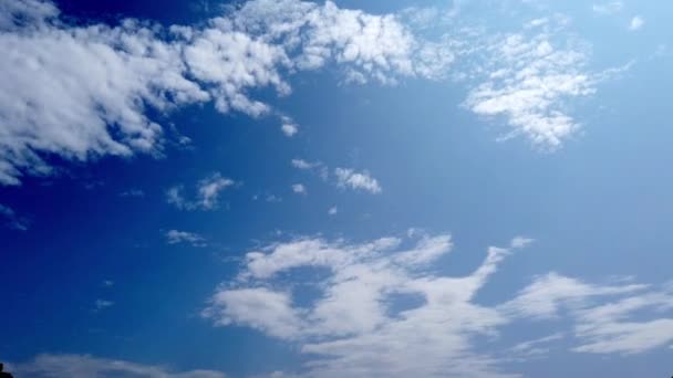 Sydney Australia Aire Libre Nubes Que Fluyen Time Lapse — Vídeo de stock