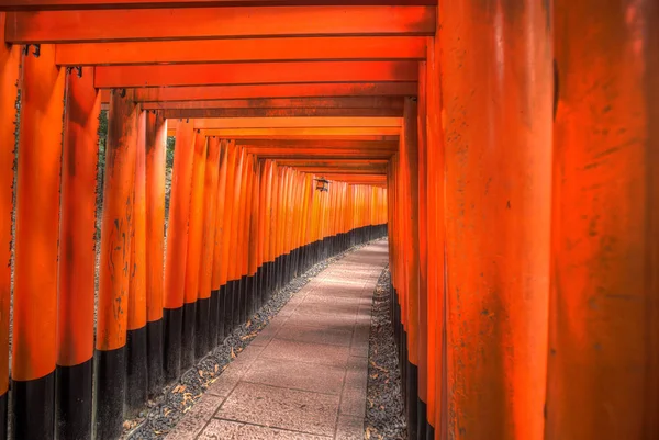 Inari Fushimi Tapınak Kyoto — Stok fotoğraf