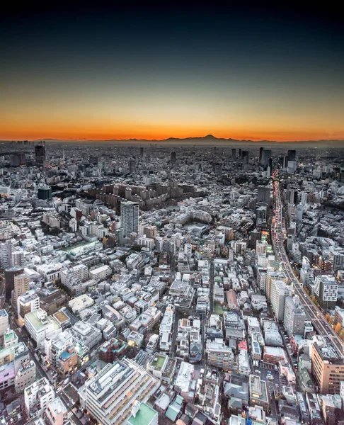 Stad Tokio Met Mount Fuji Verte — Stockfoto