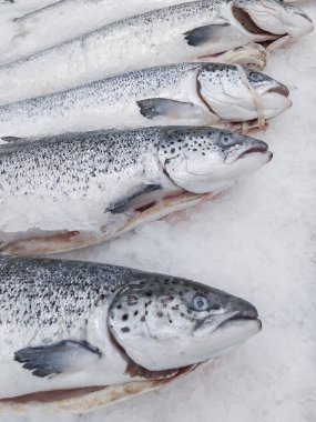 Buzun üzerinde duran taze donmuş balık. Dükkanda taze balık var. Sınırlı alan derinliği. Yakın plan.