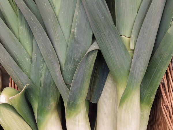 Stack of fresh green leek on a flea market counter. Fresh vegetables background. Close-up