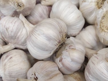 Beyaz sarımsak dokusu. Pazar masasında taze sarımsak. Yakın plan fotoğraf. Vitamin sağlıklı yiyecek baharatı görüntüsü. Baharatlı yemek malzemesi resmi. Beyaz sarımsak kafalar. Beyaz sarımsak kafa üst görünüm