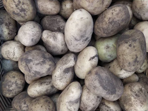 Raw Potatoes Food Background Fresh Potatoes Raw Organic Golden Potatoes — Stock Photo, Image