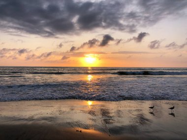 Renkli okyanus plajı gün batımı güneşe bakıyor