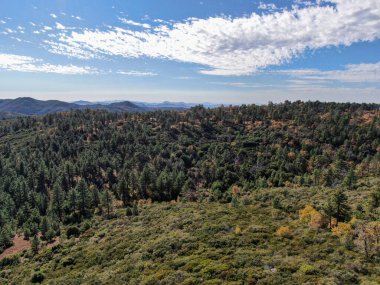Kurak sonbahar sezonunda Pine Valley, Kaliforniya
