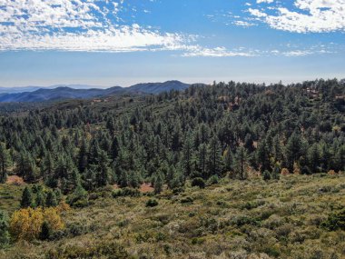Kurak sonbahar sezonunda Pine Valley, Kaliforniya