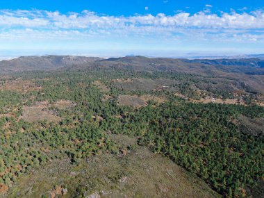 Kurak sonbahar sezonunda Pine Valley, Kaliforniya