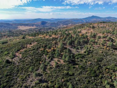 Kurak sonbahar sezonunda Pine Valley, Kaliforniya