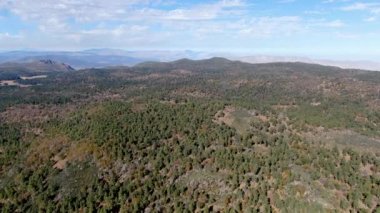 Kurak sonbahar sezonunda Pine Valley, Kaliforniya