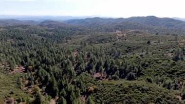 Kurak sonbahar sezonunda Pine Valley, Kaliforniya