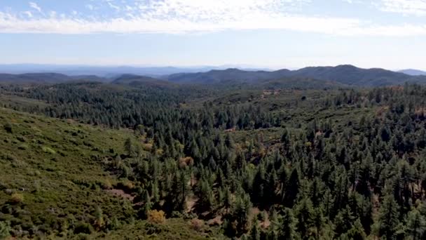 Pine Valley κατά τη διάρκεια της ξηρής φθινοπωρινής περιόδου, Καλιφόρνια — Αρχείο Βίντεο