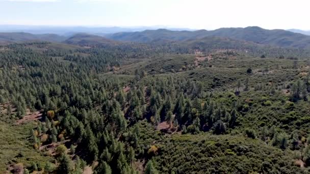 Pine Valley κατά τη διάρκεια της ξηρής φθινοπωρινής περιόδου, Καλιφόρνια — Αρχείο Βίντεο