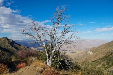 Kurak sonbahar sezonunda Laguna Dağları, Kaliforniya