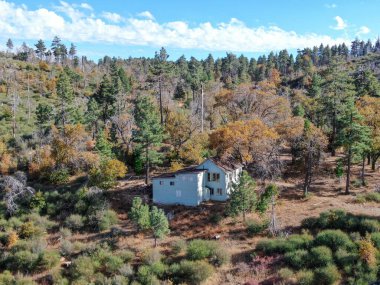 Laguna Dağları 'nda çam ağaçlarıyla çevrili küçük ahşap ev.