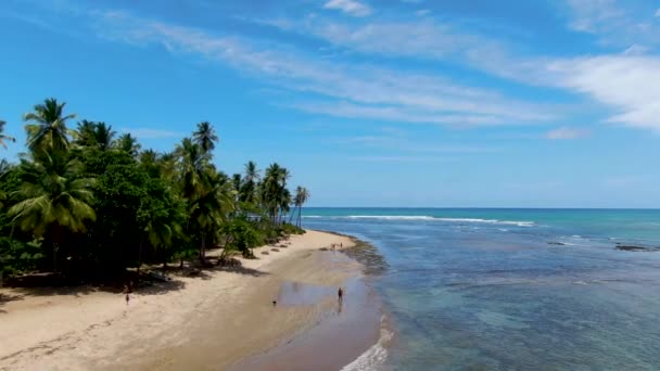 Vista aérea de la playa tropical de arena blanca, palmeras y agua de mar turquesa en Praia do Forte — Vídeo de stock