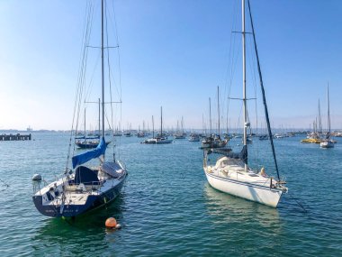 San Diego limanında mavi gökyüzü gününde yelkenli limanı