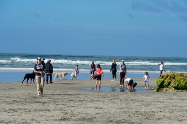Del Mar North Beach, San Diego 'da köpek kumsalı serbest.