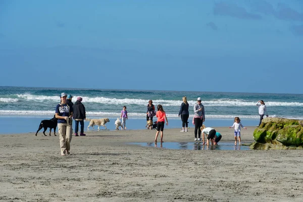 Dog Beach al guinzaglio a Del Mar North Beach, Contea di San Diego — Foto Stock