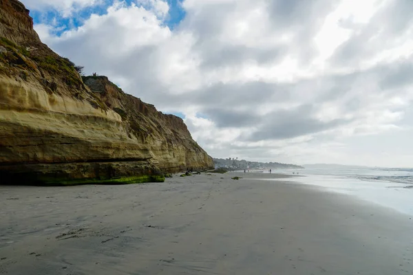 Dog Beach off-leash op Del Mar North Beach, San Diego County — Stockfoto