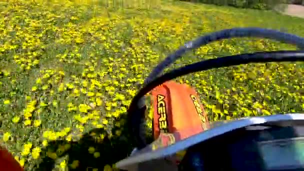 Front view motorcross bike accelerating in wild flower field. — 图库视频影像