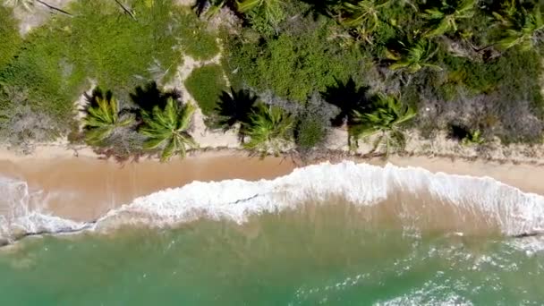 Luftaufnahme des tropischen weißen Sandstrandes und des türkisfarbenen Meerwassers mit kleinen Wellen. — Stockvideo