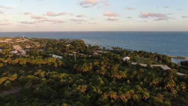 Widok z lotu ptaka tropikalnego oceanu i palm lasu w czasie zachodu słońca. Praia do Forte — Wideo stockowe