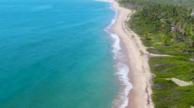 Aerial view of tropical ocean and palm trees forest during sunny day. Praia do Forte