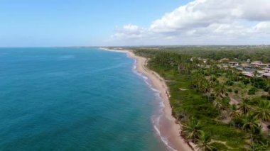 Aerial view of tropical ocean and palm trees forest during sunny day. Praia do Forte