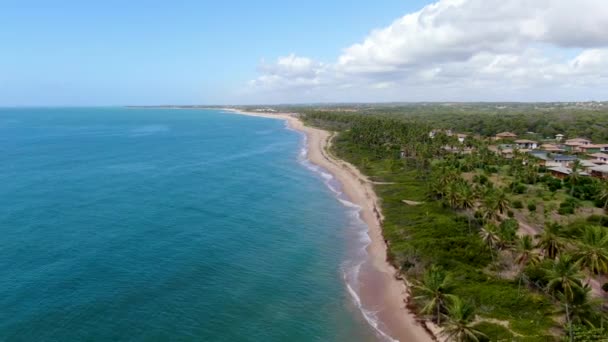 Vista aerea dell'oceano tropicale e della foresta di palme durante la giornata di sole. Praia do Forte — Video Stock