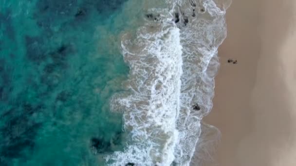 Vista aerea dall'alto delle onde dell'oceano che si lavano sulla costa dell'oceano Pacifico — Video Stock