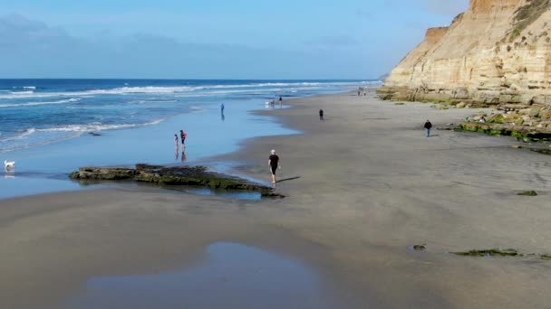 Off-leash Dog Beach on Del Mar North Beach, люди, гуляющие и играющие со своими собаками на пляже — стоковое видео