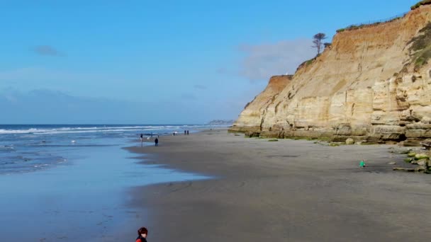 Off-leash Dog Beach en Del Mar North Beach, gente paseando y jugando con sus perros en la playa — Vídeos de Stock