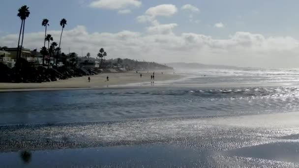 Северный пляж Дель Мар, люди гуляют и играют со своими собаками на пляже — стоковое видео
