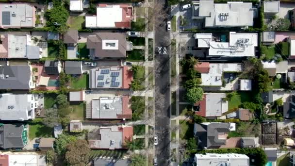 Вид сверху с высоты птичьего полета на богатый район с большими домами и маленькой улицей в центре Лос-Анджелеса — стоковое видео