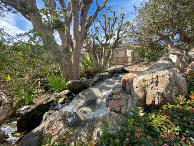 Tipik apartman kompleksi boyunca yürüme yolu boyunca temiz bahçe ve çimenler..