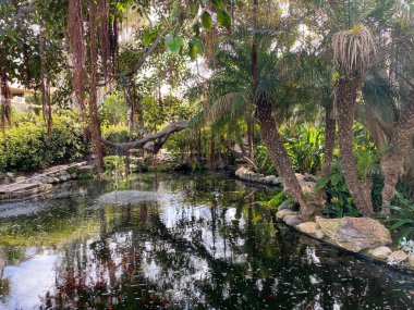 Tipik apartman kompleksi boyunca yürüme yolu boyunca temiz bahçe ve çimenler..