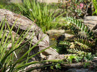 Tipik apartman kompleksi binası boyunca yürüme yolu boyunca bahçe ve çimenler..
