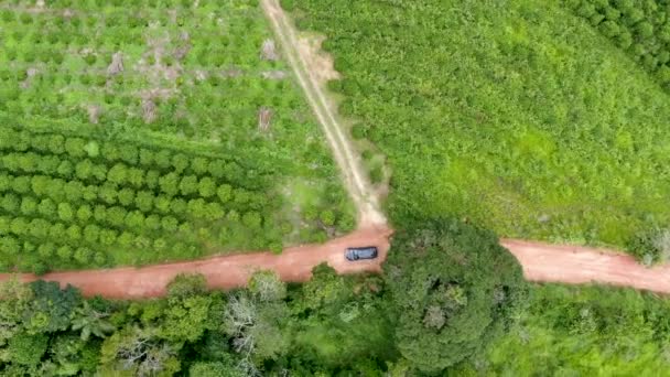 Vue aérienne de la voiture conduisant à travers un petit chemin de terre au milieu de la vallée tropicale verte .