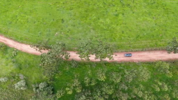 열 대의 푸른 계곡 가운데있는 작은 비포장 도로에서 차를 몰고 가는 모습을 공중에서 본 모습. — 비디오