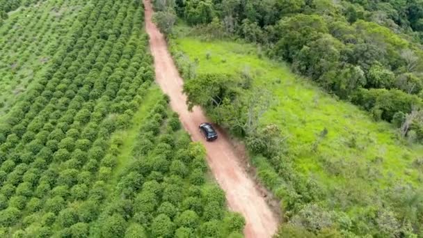 Flygfoto över bilen kör genom en liten grusväg i mitten av grön tropisk dal. — Stockvideo