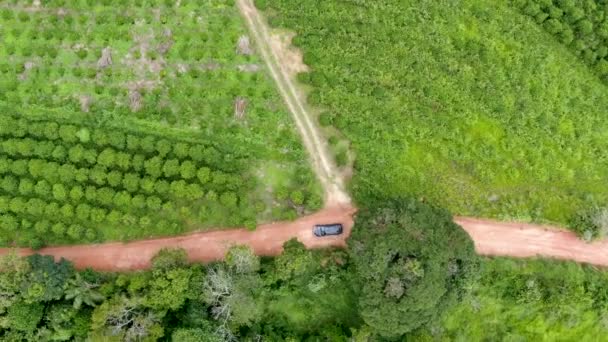 Veduta aerea della guida in auto attraverso una piccola strada sterrata in mezzo alla verde valle tropicale . — Video Stock