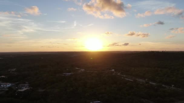 Vista aérea da floresta tropical com palmeiras viradas para o sol durante o pôr do sol . — Vídeo de Stock