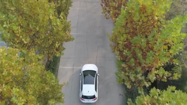 Вид сверху на белый автомобиль, движущийся по маленькой асфальтированной дороге в окружении деревьев — стоковое видео