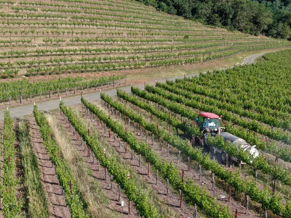 Trattori agricoli che spruzzano pesticidi e insetticidi erbicidi sul campo di vigna verde . — Foto Stock