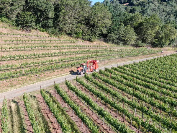 Jordbrukstraktor för besprutning av bekämpningsmedel och insekticider herbicider över gröna vinfält. — Stockfoto