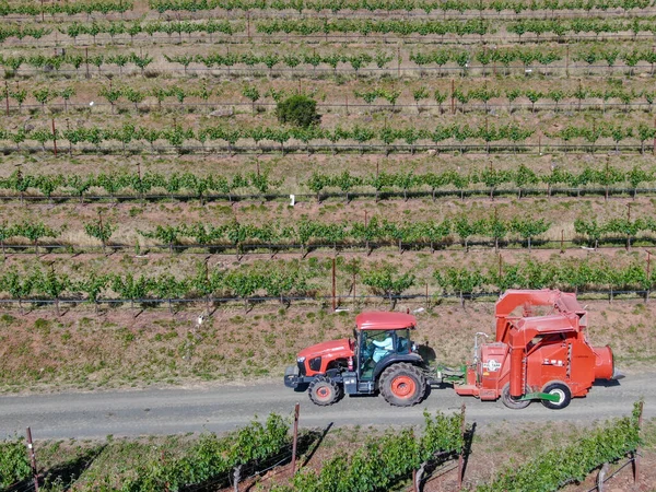 Trattore agricolo per la spruzzatura di pesticidi e insetticidi erbicidi sul campo di vigna verde . — Foto Stock