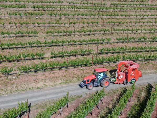 Ackerschlepper zum Versprühen von Pestiziden und Insektiziden Herbizide über grünen Weinberg Feld. — Stockfoto