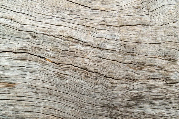 Nature wood tree texture background pattern. — Stock Photo, Image