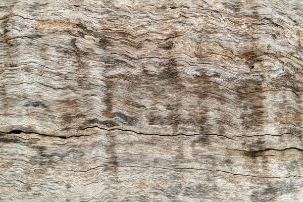 Naturaleza madera árbol textura fondo patrón . — Foto de Stock